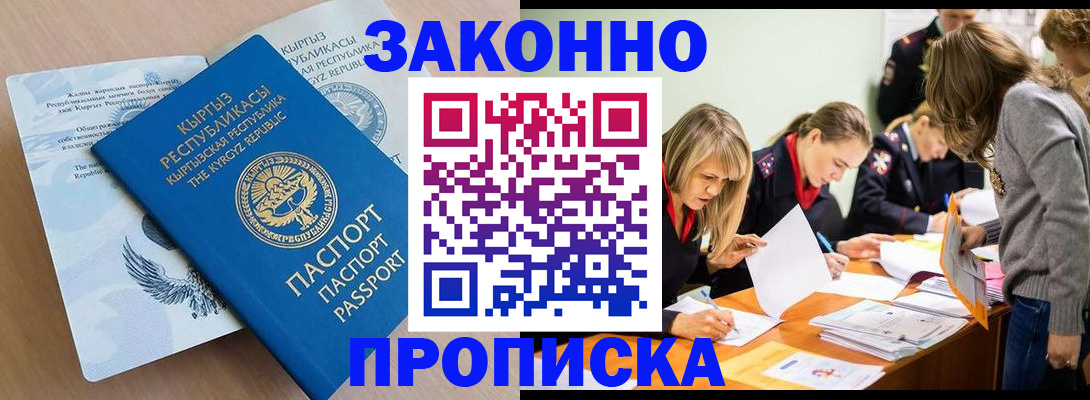 прописка гарантия в Камышине